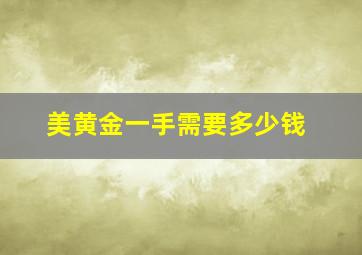 美黄金一手需要多少钱