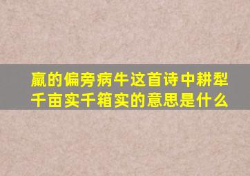 羸的偏旁病牛这首诗中耕犁千亩实千箱实的意思是什么