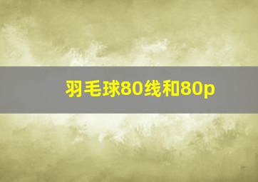 羽毛球80线和80p