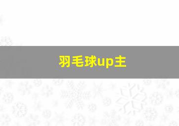 羽毛球up主