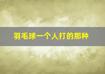 羽毛球一个人打的那种