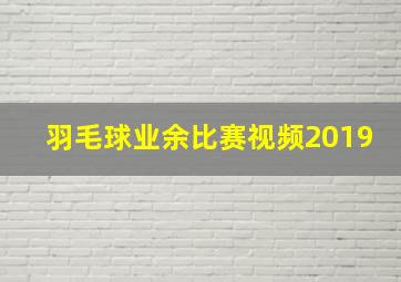 羽毛球业余比赛视频2019