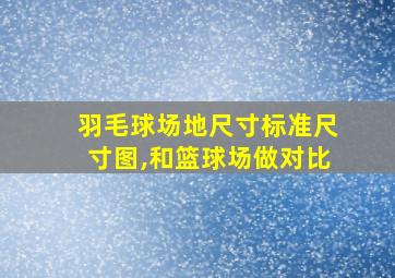 羽毛球场地尺寸标准尺寸图,和篮球场做对比