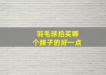 羽毛球拍买哪个牌子的好一点