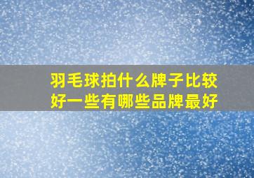 羽毛球拍什么牌子比较好一些有哪些品牌最好