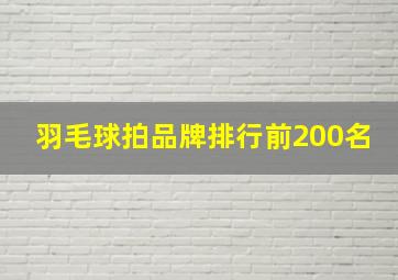 羽毛球拍品牌排行前200名