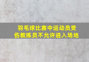 羽毛球比赛中运动员受伤教练员不允许进入场地