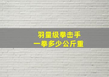 羽量级拳击手一拳多少公斤重