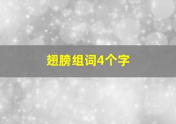 翅膀组词4个字