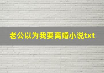 老公以为我要离婚小说txt