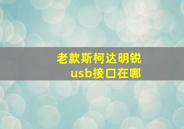 老款斯柯达明锐usb接口在哪