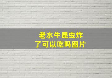 老水牛昆虫炸了可以吃吗图片