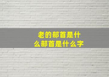 老的部首是什么部首是什么字