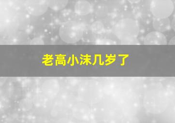 老高小沫几岁了