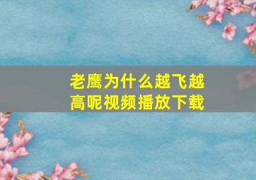 老鹰为什么越飞越高呢视频播放下载