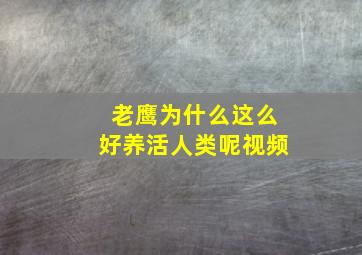 老鹰为什么这么好养活人类呢视频