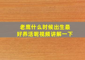 老鹰什么时候出生最好养活呢视频讲解一下