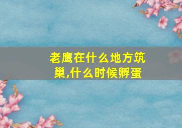 老鹰在什么地方筑巢,什么时候孵蛋