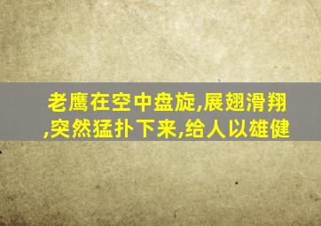 老鹰在空中盘旋,展翅滑翔,突然猛扑下来,给人以雄健