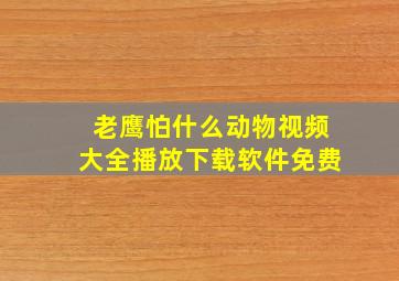 老鹰怕什么动物视频大全播放下载软件免费