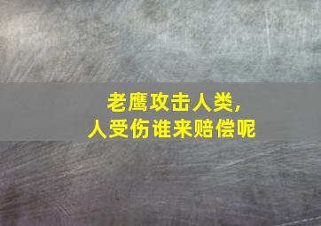 老鹰攻击人类,人受伤谁来赔偿呢