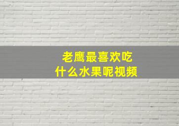 老鹰最喜欢吃什么水果呢视频