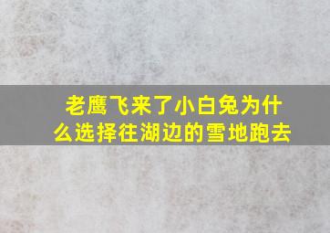 老鹰飞来了小白兔为什么选择往湖边的雪地跑去