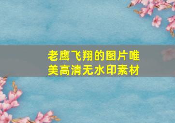 老鹰飞翔的图片唯美高清无水印素材