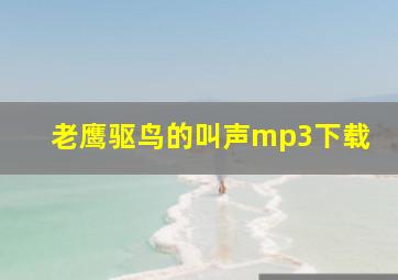 老鹰驱鸟的叫声mp3下载