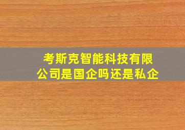 考斯克智能科技有限公司是国企吗还是私企