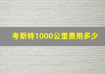 考斯特1000公里费用多少