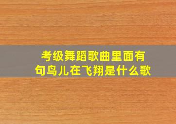 考级舞蹈歌曲里面有句鸟儿在飞翔是什么歌