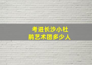 考进长沙小杜鹃艺术团多少人