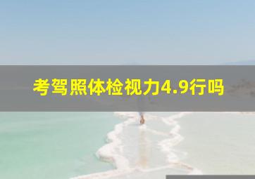 考驾照体检视力4.9行吗