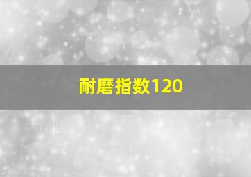 耐磨指数120