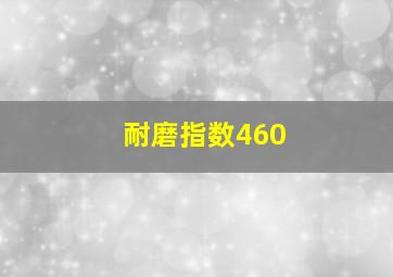 耐磨指数460