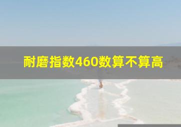 耐磨指数460数算不算高