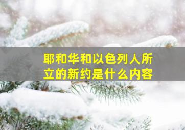 耶和华和以色列人所立的新约是什么内容