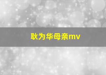 耿为华母亲mv