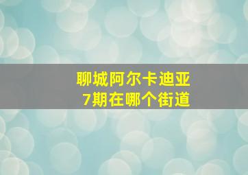 聊城阿尔卡迪亚7期在哪个街道