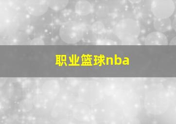 职业篮球nba