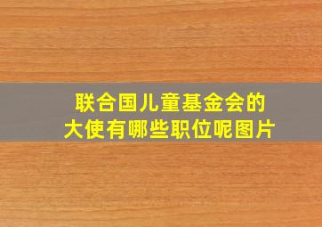 联合国儿童基金会的大使有哪些职位呢图片