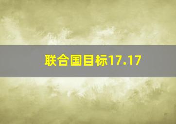 联合国目标17.17