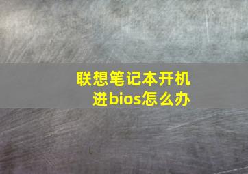 联想笔记本开机进bios怎么办