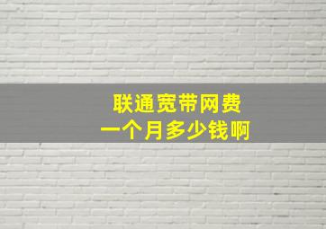 联通宽带网费一个月多少钱啊