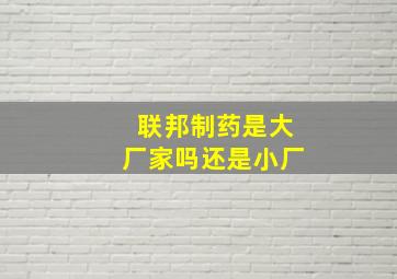 联邦制药是大厂家吗还是小厂