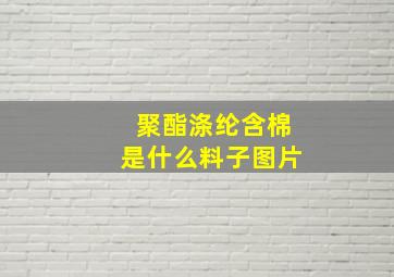 聚酯涤纶含棉是什么料子图片