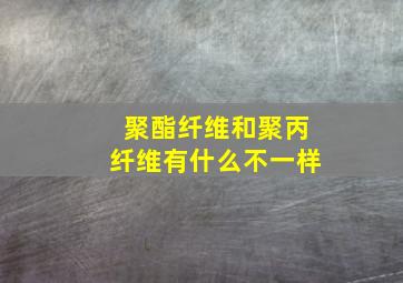 聚酯纤维和聚丙纤维有什么不一样