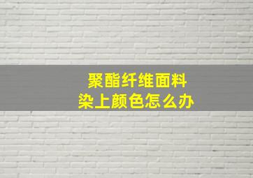 聚酯纤维面料染上颜色怎么办