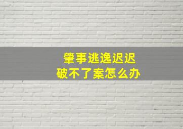 肇事逃逸迟迟破不了案怎么办